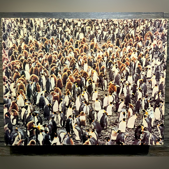 Another View Family Reunion 1000 piece vintage puzzle 🧩. - Picture 1 of 5